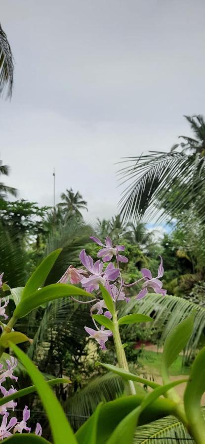 Chao Beach Villa อาฮานกามา ภายนอก รูปภาพ